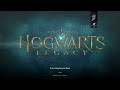 hogwarts legacy