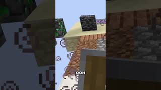 Minecraft Skyblock Panic: TNT, Vexes, and Survival! #Minecraft