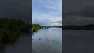 at afam bridge in siargao!