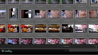 Quick and dirty Lightroom Classic import settings