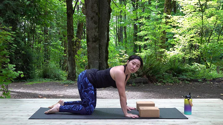 All You Need Is Blocks (Clip) With Wanda Velez