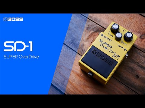 BOSS SD-1 SUPER OverDrive - INTRO - YouTube