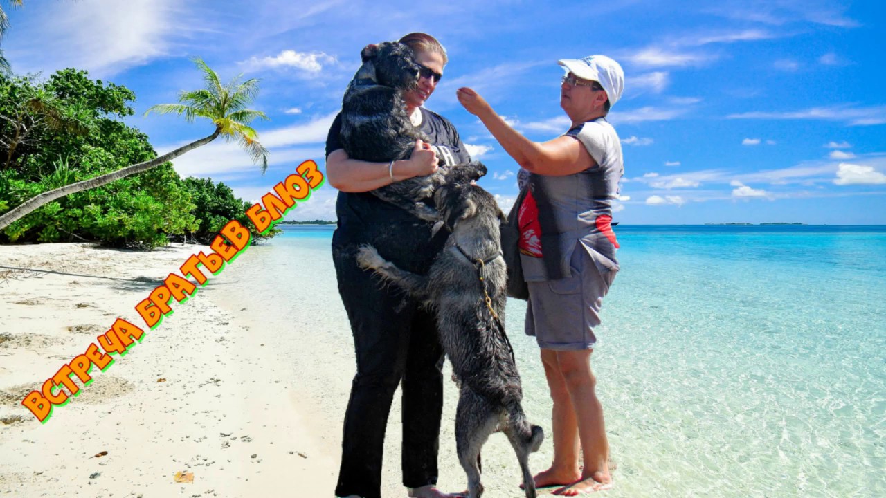 Братья Блюз - YouTube