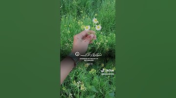 #اذكار #اكسبلور #تاج_الذكر #المصحف #تيك_توك #لايك #ترند