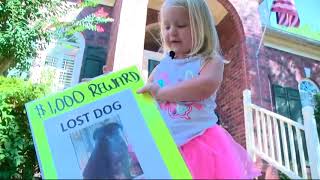 How to avoid lost pet scams