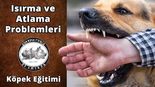 Isırma Ve Atlama Problemleri - Yapılması Gerekenler