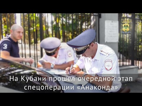 На Кубани прошел