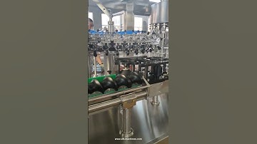 Automatic 3 in 1 rotary rising washing wine juice bottle filling capping machine