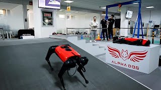 Çinli Mühendisler Dünyanın En Hızlı Köpek Robotu Alphadogu Geliştirdi