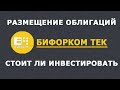 Размещение облигаций Бифорком: стоит ли инвестировать?