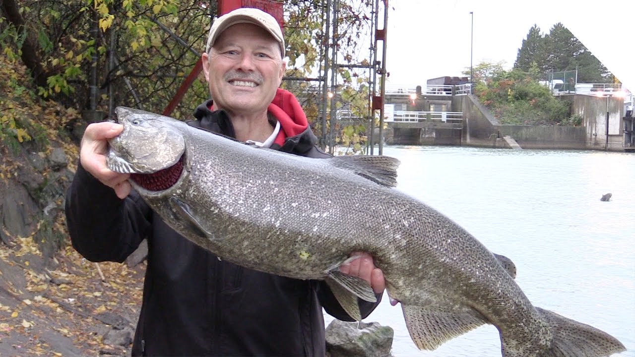 Shore Fishing in the Rain for Salmon using Roe Bags YouTube