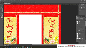FILE TRANG TRÍ LỊCH TẾT NGUYÊN ĐÁN CHẬU BONSAI MAI KHOE SẮC XUÂN - 163LT