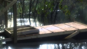 Charlie Creek Floating Finger Dock in Action