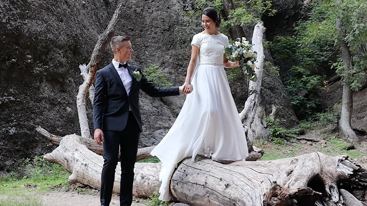Brandon  Betty Wedding Highlights