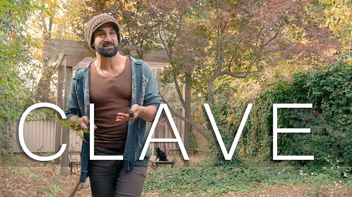 the only video you need about clave