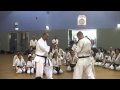 Sensei Artur Hovannisian - Mawashi geri