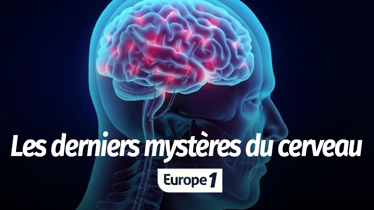 Les Derniers Mysteres Du Cerveau Youtube Les Derniers Mysteres Du Cerveau Youtube