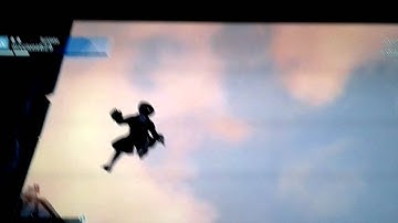 Super bug su Assassin