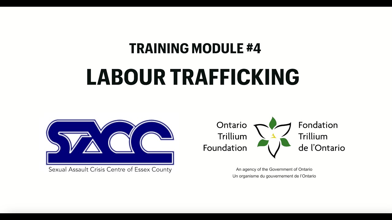 Video 4 Labour Trafficking