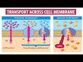 TRANSPORT ACROSS CELL MEMBRANE, TRANSPORT OF SUBSTANCES, CELL MEMBRANE PHYSIOLOGY, SHORT AND EASY