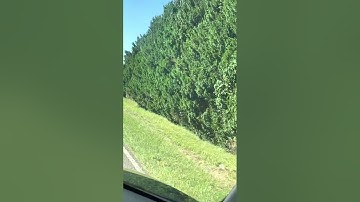 A grey guyed cell phone tower in Johnston, South Carolina that has a FH-324