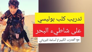 تدريب كلب بوليسي (زيف ) على شاطيء البحر مع المدرب الدولي أسامة الترباني