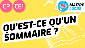 Qu'est-ce que le sommaire d'un livre ?