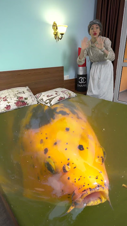 How is this fish Koi fish pond. Good luck koi. # #funny #shorts