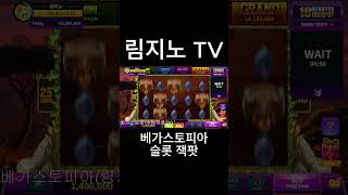 (림지노TV) 베가스토피아 버팔로 슬롯 잭팟 #카지노 #카지노게임 #poker #실시간홀덤 #게임 #바카라 #모바일게임 #룰렛 #games #casino #실시간바카라 #홀덤