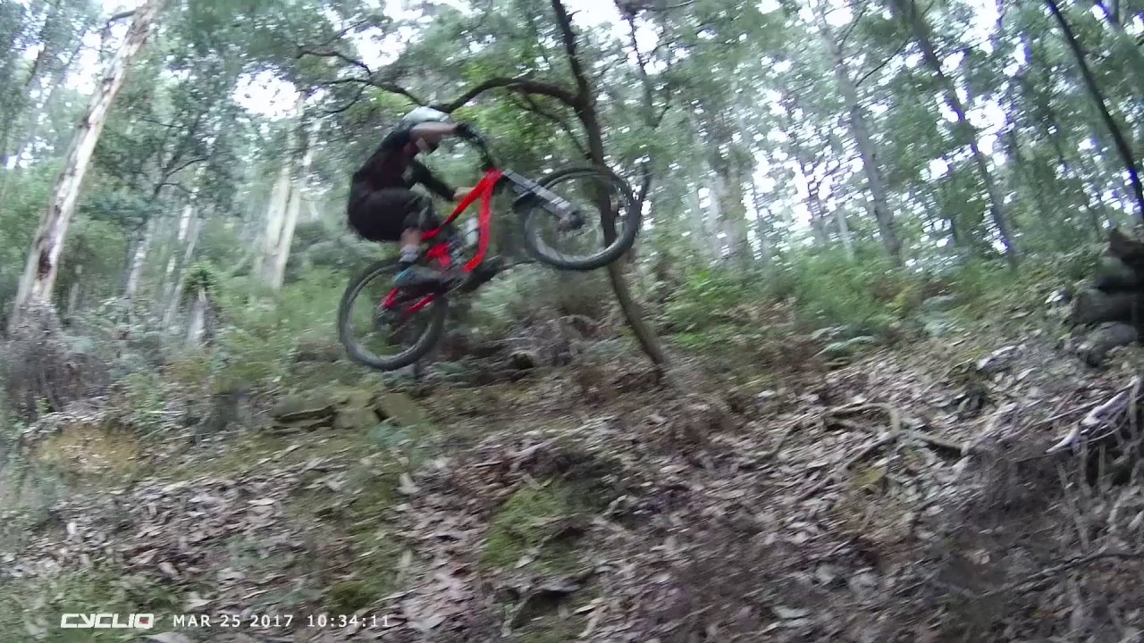 Cycliq Fly12 – MTB trails in Tasmania during Tas Gravity Enduro Series