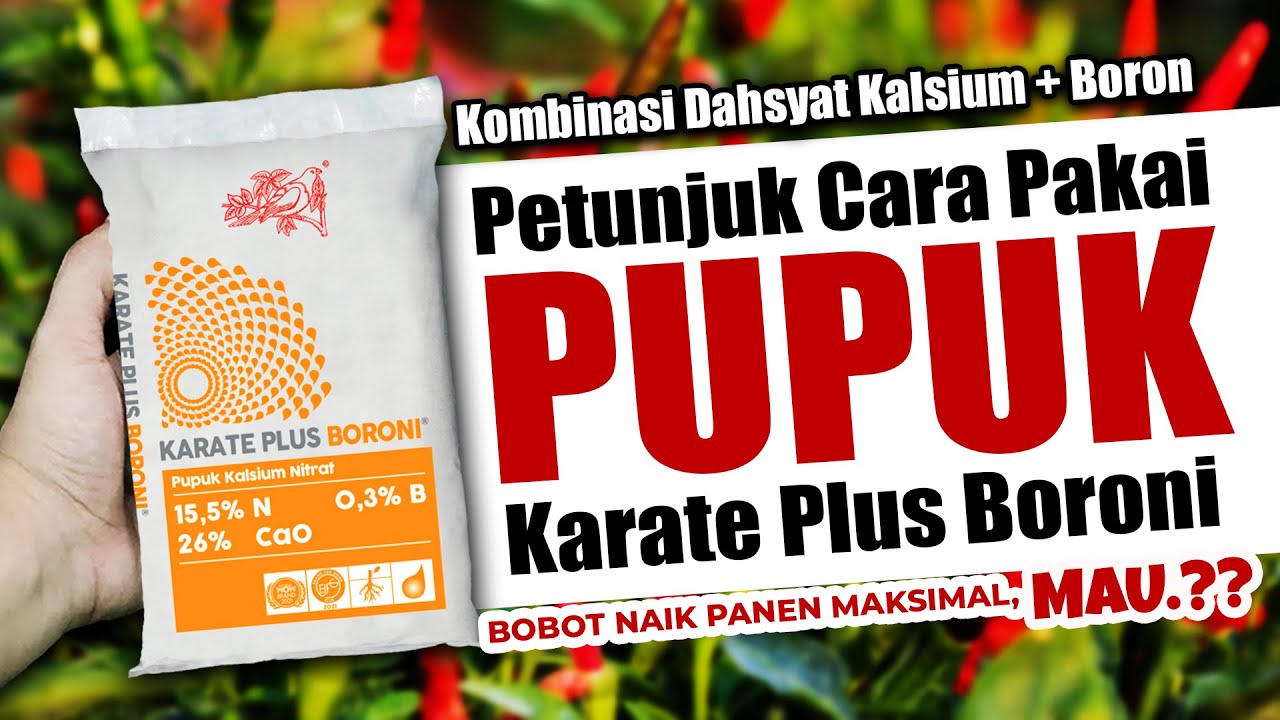 MAU PANEN TANAMANMU MAKSIMAL..❓❓ PETUNJUK CARA PAKAI PUPUK KARATE PLUS BORONI LENGKAP KOMBINASINYA