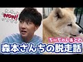 龍太郎が全力ダッシュした「森本家わんちゃん脱走劇！」【切り抜きエピソード】