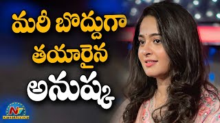 Why Anushka Not Interested To Loss Weight ? | Box Office | NTV ENT