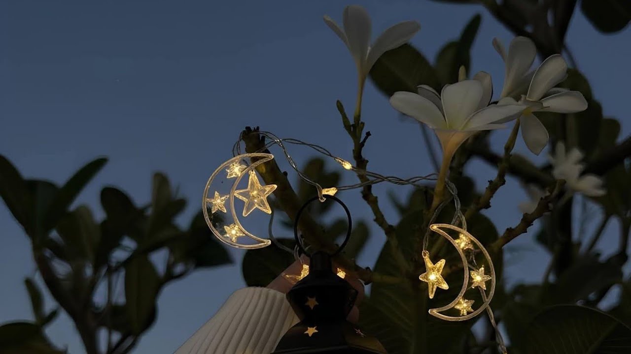 جمعه مباركه عليكم 🫶♥️🫶