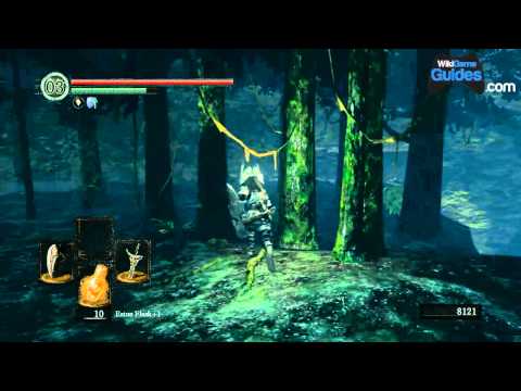 Video: Dark Souls - Darkroot Garden Strategie