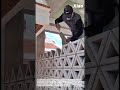 A Mason Turn Triangles into Unbreakable Poetry: Cement Hollow Brick Plastic Mold Modern Geometry 3D