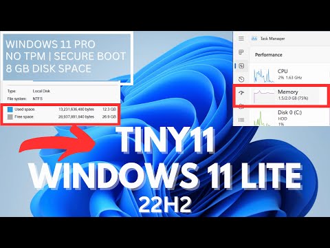 Tiny 11 22H2 For Windows 11 Lite, How To Download and Install? - TECHY BAG  in 2023