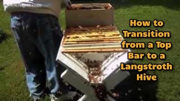 How to Transition from a Top Bar to Langstroth Hive