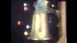 1989 WAVY Lighted Boat Parade Commercial