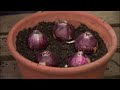 🔴 Gardeners'World 2022 | Gardeners World episode 55 2022