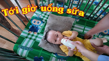 Cùng Dũng cho các con mồ côi uống sữa tại Mái Ấm Đức Quang - Bến Tre| #tiktok #chuamocoi #Dũngbánhmì
