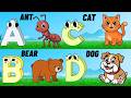Alphabet Animals Song | Learn the ABC Alphabet Animals Song for Kids | ABC Alphabet Phonics Song