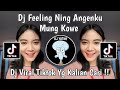 DJ LDR | DJ FEELING NENG ANGENKU MUNG KOWE SENG PALING NGERTENI AKU VIRAL TIKTOK 2024 !!