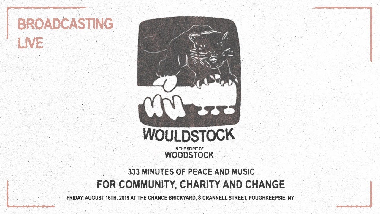 Fever 333: Wouldstock Demonstration Poughkeepsie, NY