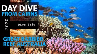 Cairns Dive Adventures