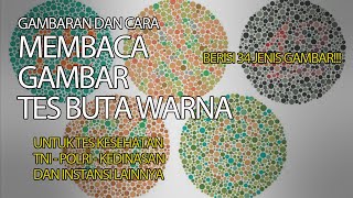 Tes Buta Warna ( Ishihara Test )