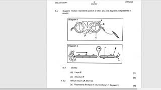 LIFE SCIENCES GRADE 12 |REFLEX ARC & NERVOUS SYSTEM QUESTIONS | THUNDEREDUC: BY M SAIDI