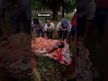 सरकार के दावों के सच ! आदिवासी महिला को परिजन 2 किलोमीटर खाट पर उठाकर सड़क पर लाये लेकिन ...