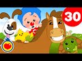 Наблюдаем за животными -  и 30 минут Песни Для Детей ♫ Плим Плим