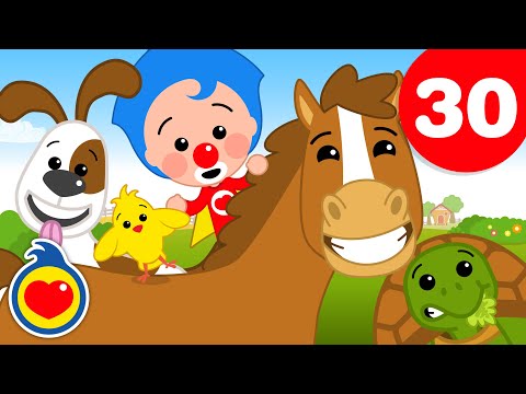 Наблюдаем За Животными И 30 Минут Песни Для Детей Плим Плим